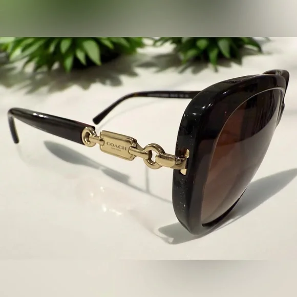 COACH HC8164 Dark Tortoise sunglasses from Japan (L953) with branded hard case